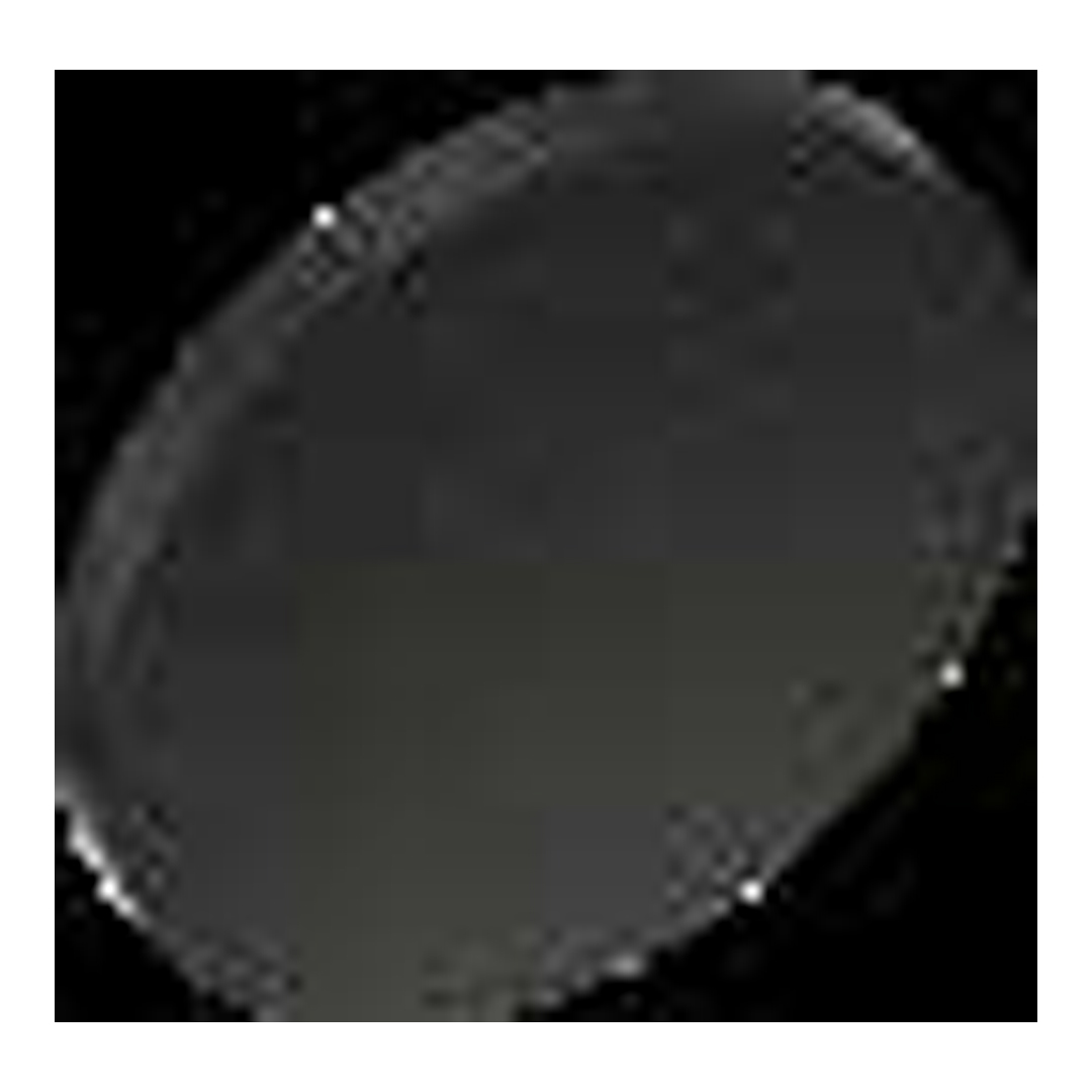 UltraSoak 12" Showerhead 52160-BL25